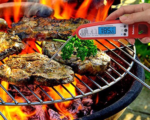 Meat thermometer and grill